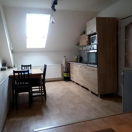 Nerudovka Apartment