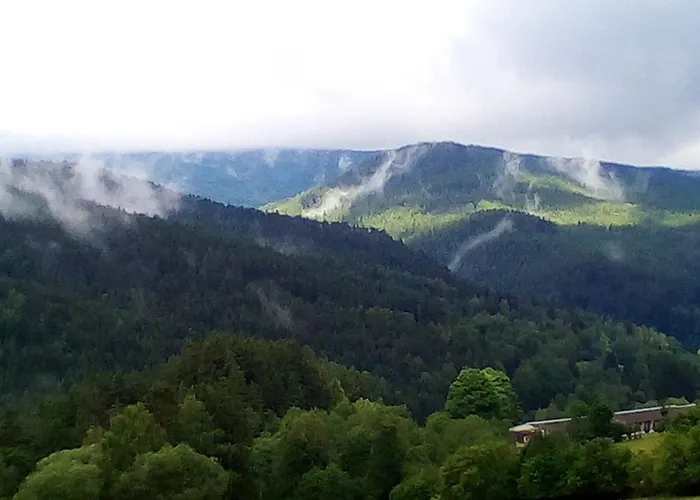 Nerudovka *